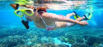 🌟 🎣 Viaggio o 🎣 Gita di pesca di città Dahab Ogni giorno dalle 8:00 mattina Alle 16:00 👇